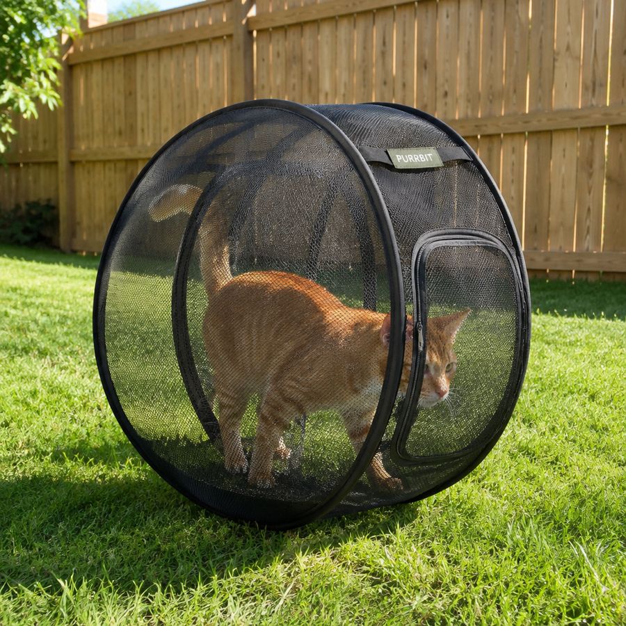 PURRBIT black mesh cat ball